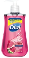 Dial Hand Soap Sweet Watermelon 12/7.5oz