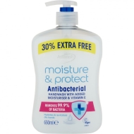 Astonish Hand Wash Moisture & Protect 12/650ml