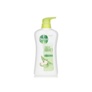 Dettol Aloe Body Wash 12/500ml
