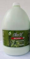 Royste Olive Oil Condition