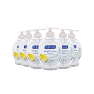 Soft Soap H/W Bright Ci