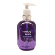 Therapy Level Hand Wash BlueBerry 24/500ml