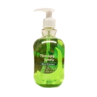 Therapy Levels Hand Wash Kiwi 24/500ml